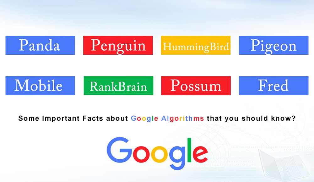 Some Important Facts about google algorithm that you should know?